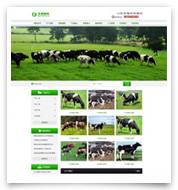 绿色农牧行业网站带手机和微信